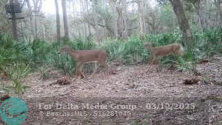 641 Sheppard Rd, Venus, FL 33960 Photo