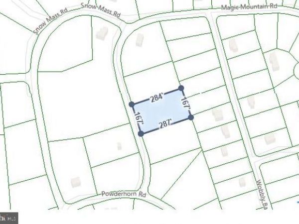 2818 MAGIC MOUNTAIN ROAD, HENRYVILLE, PA 18332