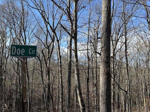 0 Doe Circle, Dunlap, TN 37327
