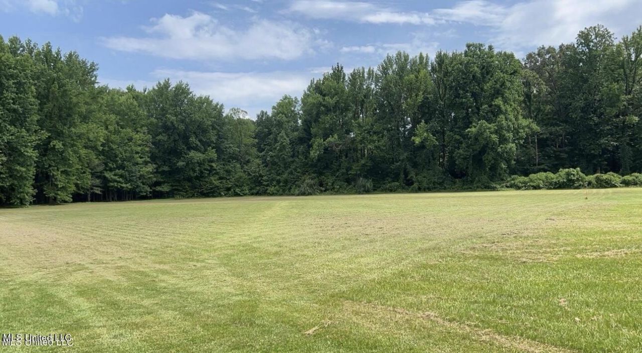 2288 Wanda Faye Drive, Hernando, MS 38632 Main Photo