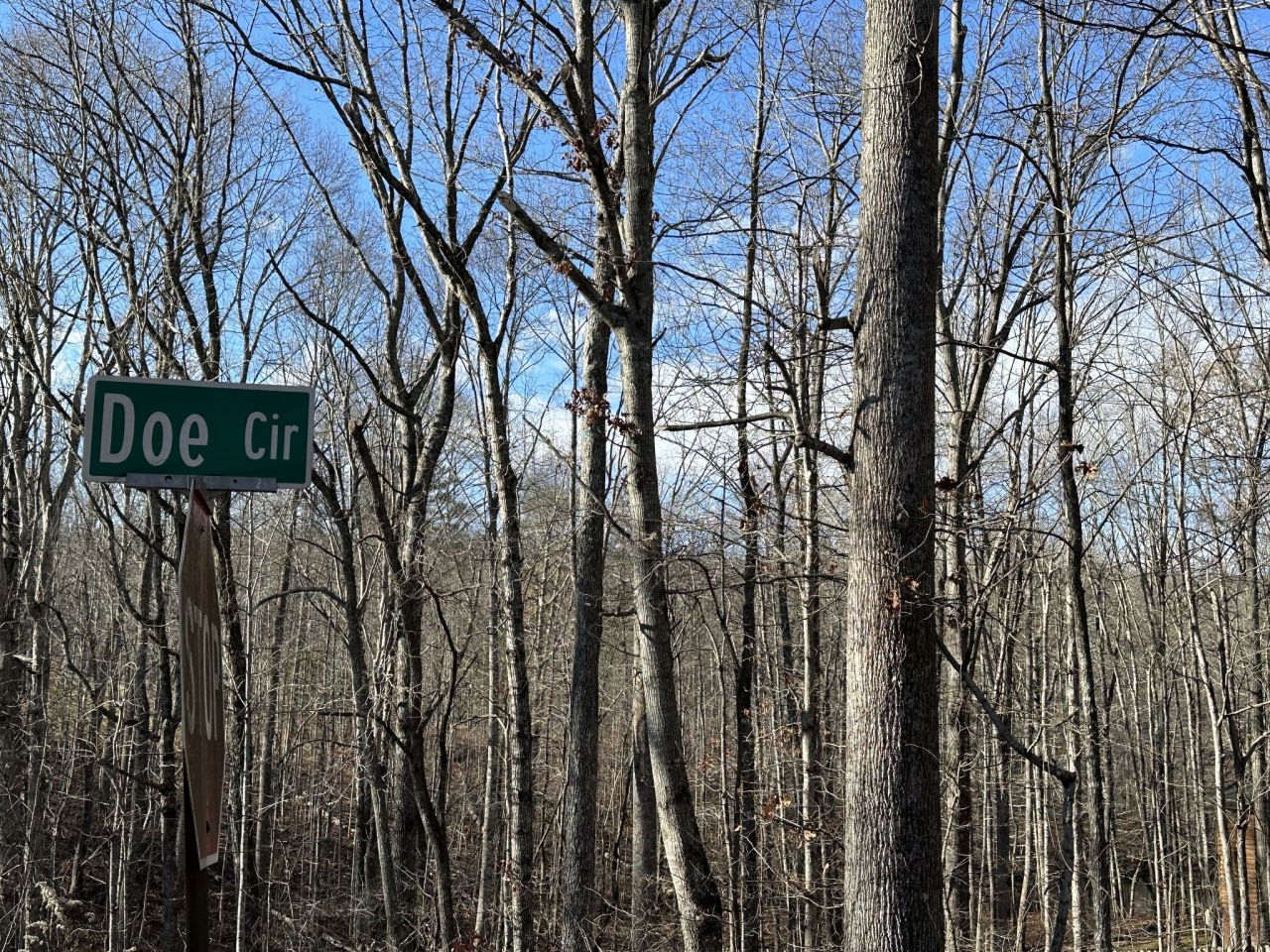 0 Doe Circle, Dunlap, TN 37327 Main Photo