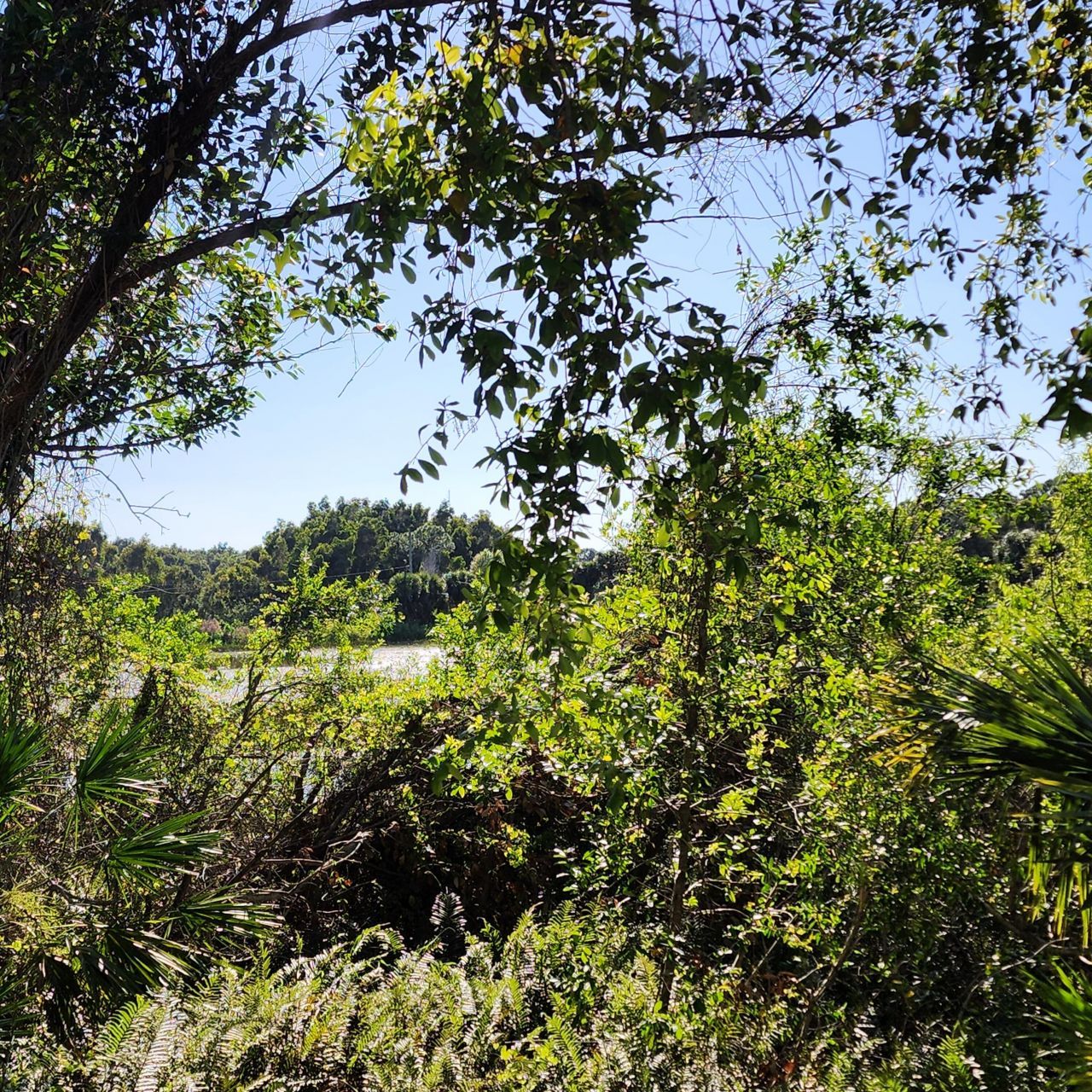 1225 NE Savannah Road, Unit 104, Jensen Beach, FL 34957 Photo