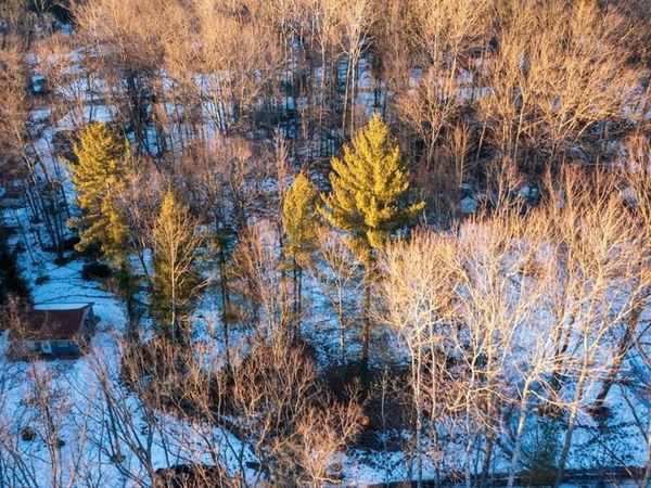 ML-AS 98 Larry Dr., Prescott Vlg, MI 48756