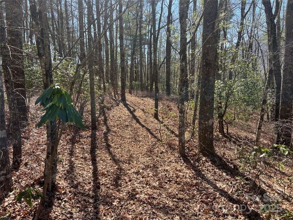 TBD Panther Ridge Road, Lake Toxaway, NC 28747