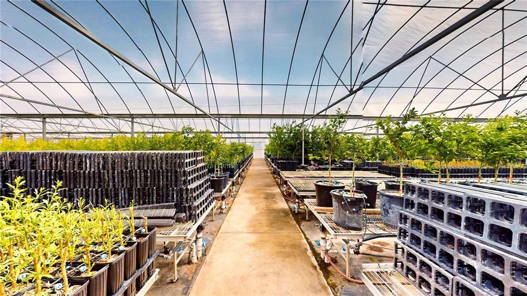 605 Orange Street, Homeland, FL 33847 Photo