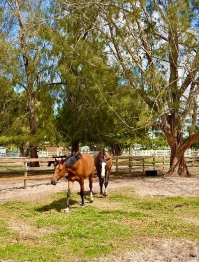 12100 NW 27th Court, Plantation, FL 33323 Photo