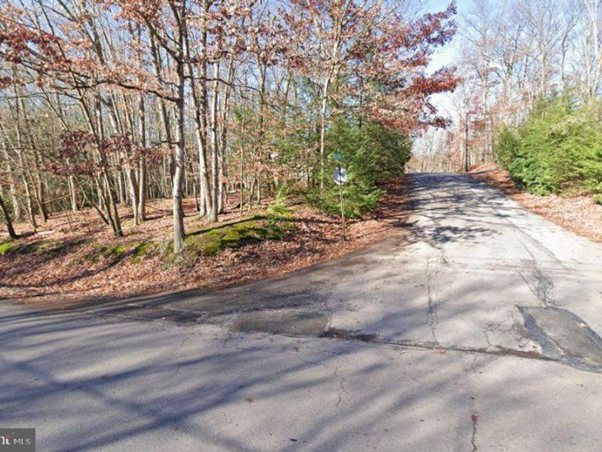 102 Buck Ridge Lane, Drums, PA 18222 Main Photo