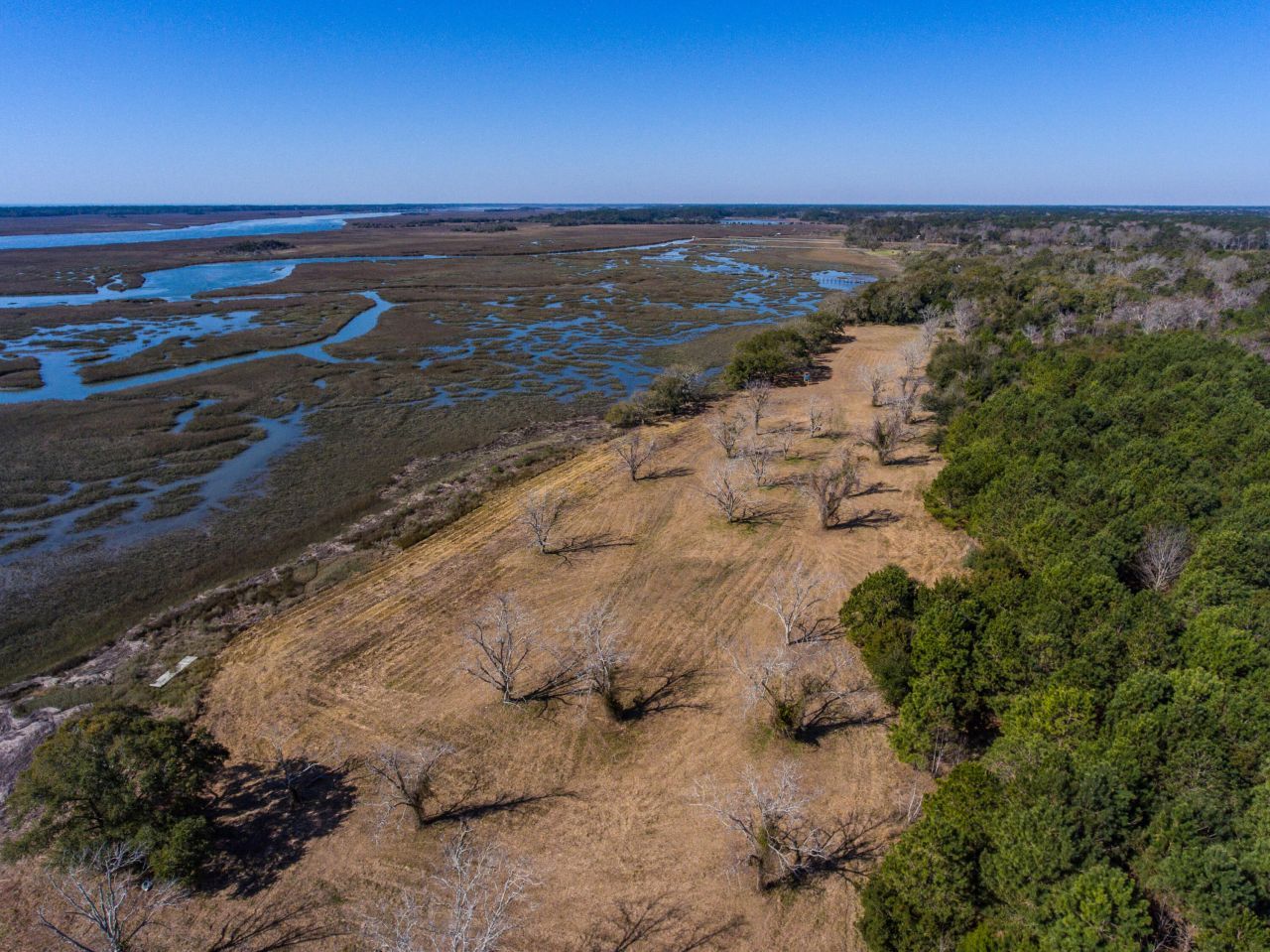 3495 Legareville Road Photo 15