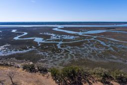 3495 Legareville Road photo 4