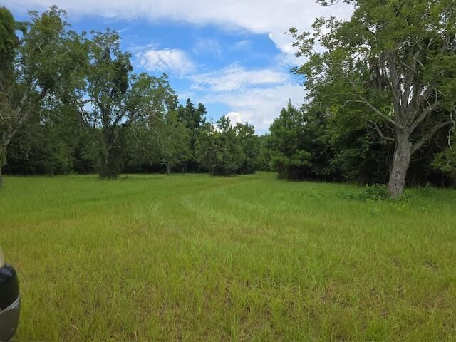 3495 Legareville Road Photo 21