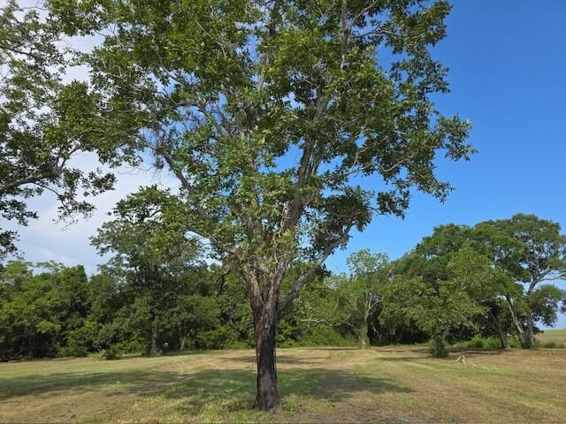 3495 Legareville Road Photo 23