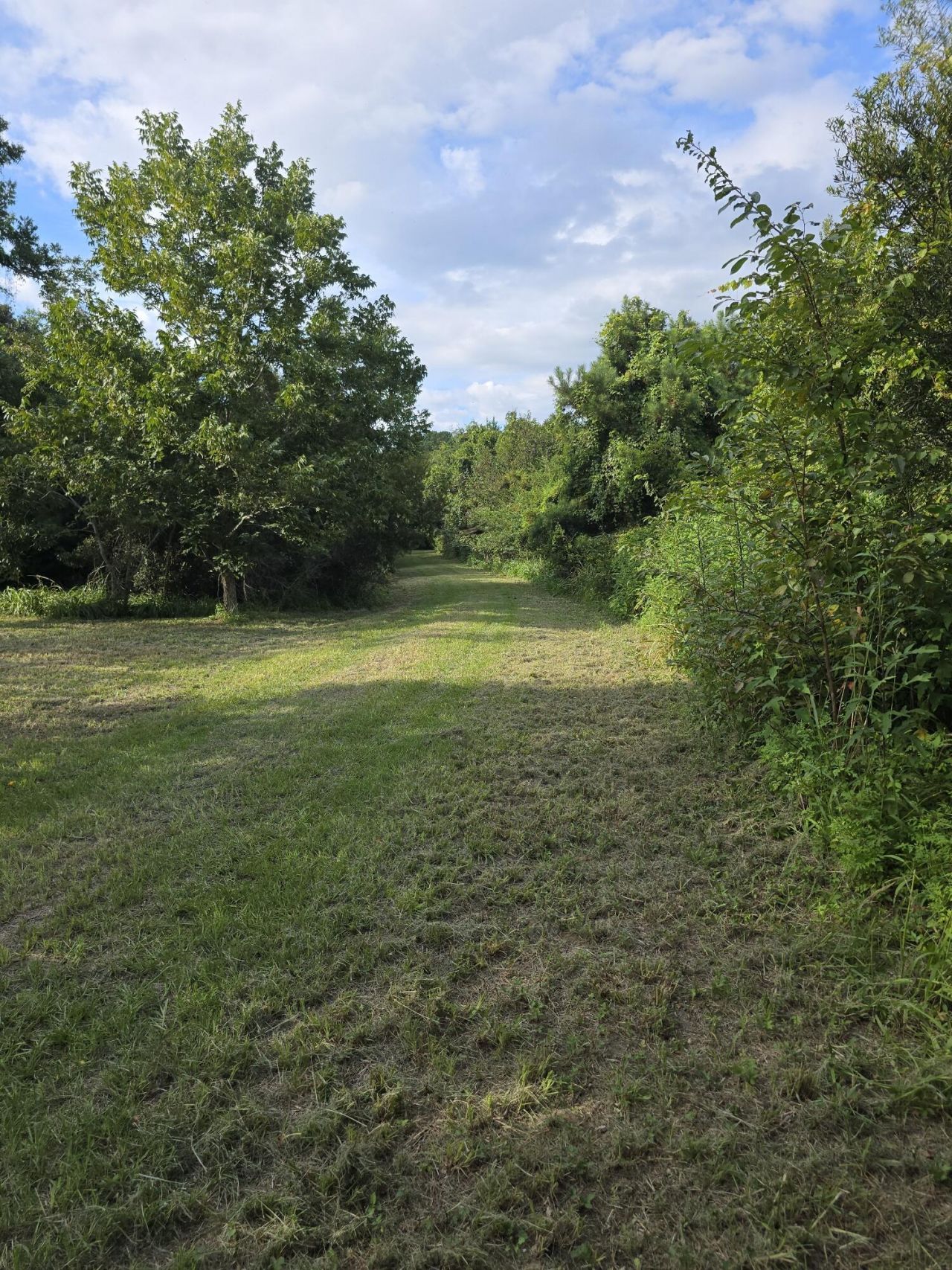 3495 Legareville Road Photo 25