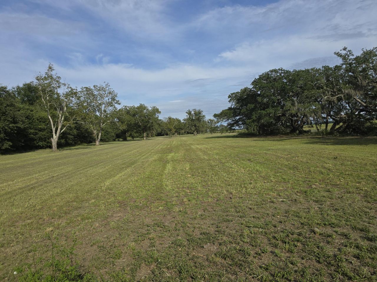 3495 Legareville Road Photo 26