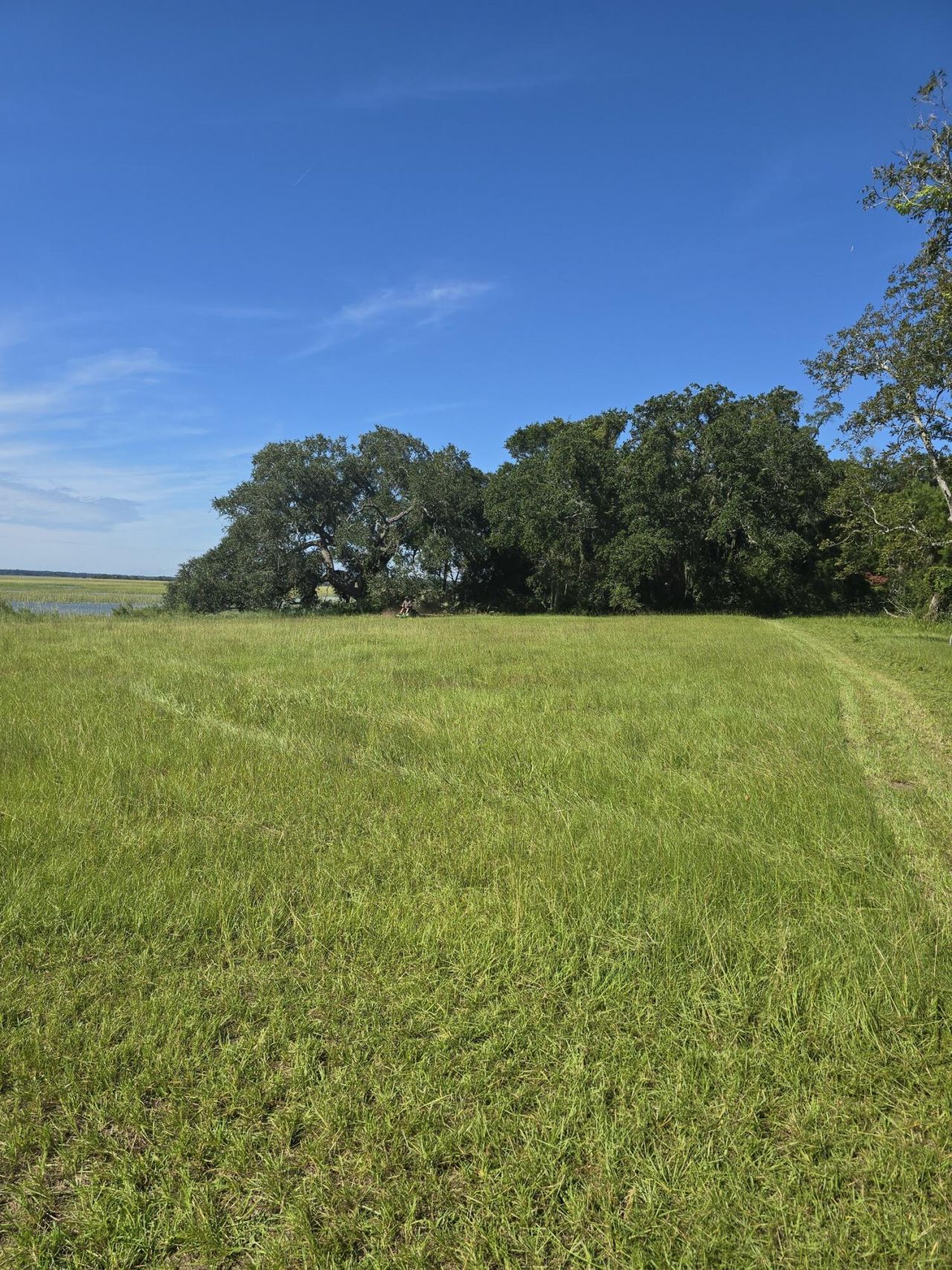 3495 Legareville Road Photo 30