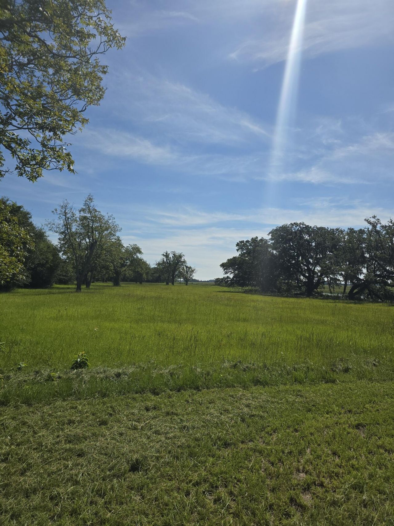 3495 Legareville Road Photo 31