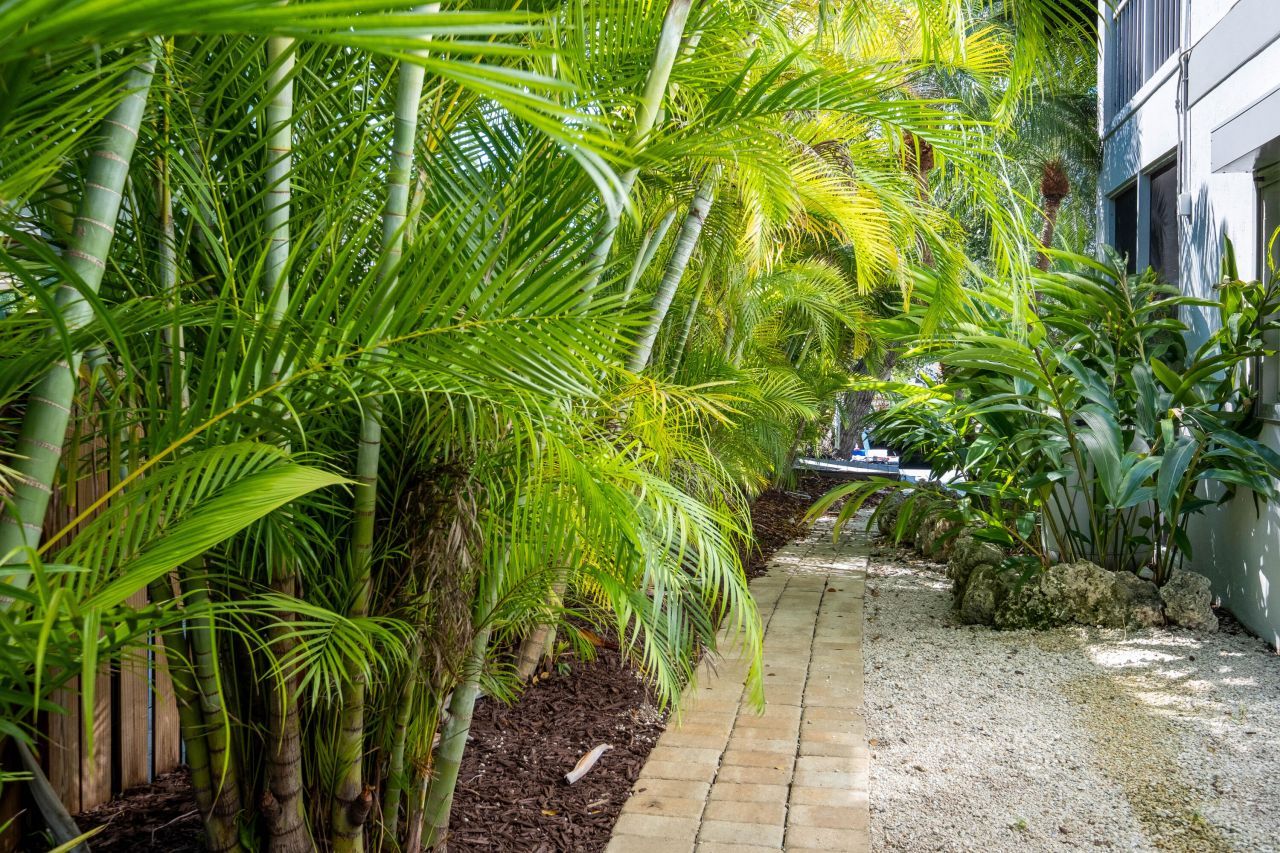 282 S Coconut Palm Boulevard, Tavernier, FL 33070 Photo