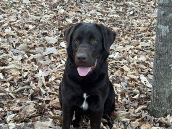 001 Estate Drive, Providence, NC 27315