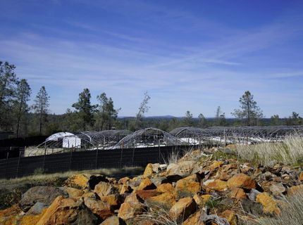 16076 Keson Pl, Grass Valley, CA 95949 Photo