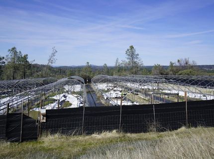 16076 Keson Pl, Grass Valley, CA 95949 Photo