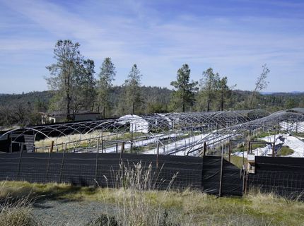 16076 Keson Pl, Grass Valley, CA 95949 Photo