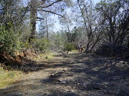 16076 Keson Pl, Grass Valley, CA 95949 Photo