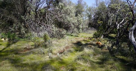 16076 Keson Pl, Grass Valley, CA 95949 Photo