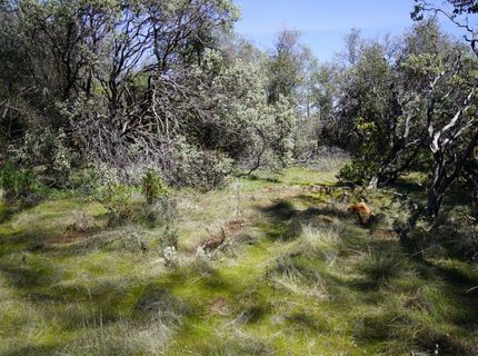 16076 Keson Pl, Grass Valley, CA 95949 Photo