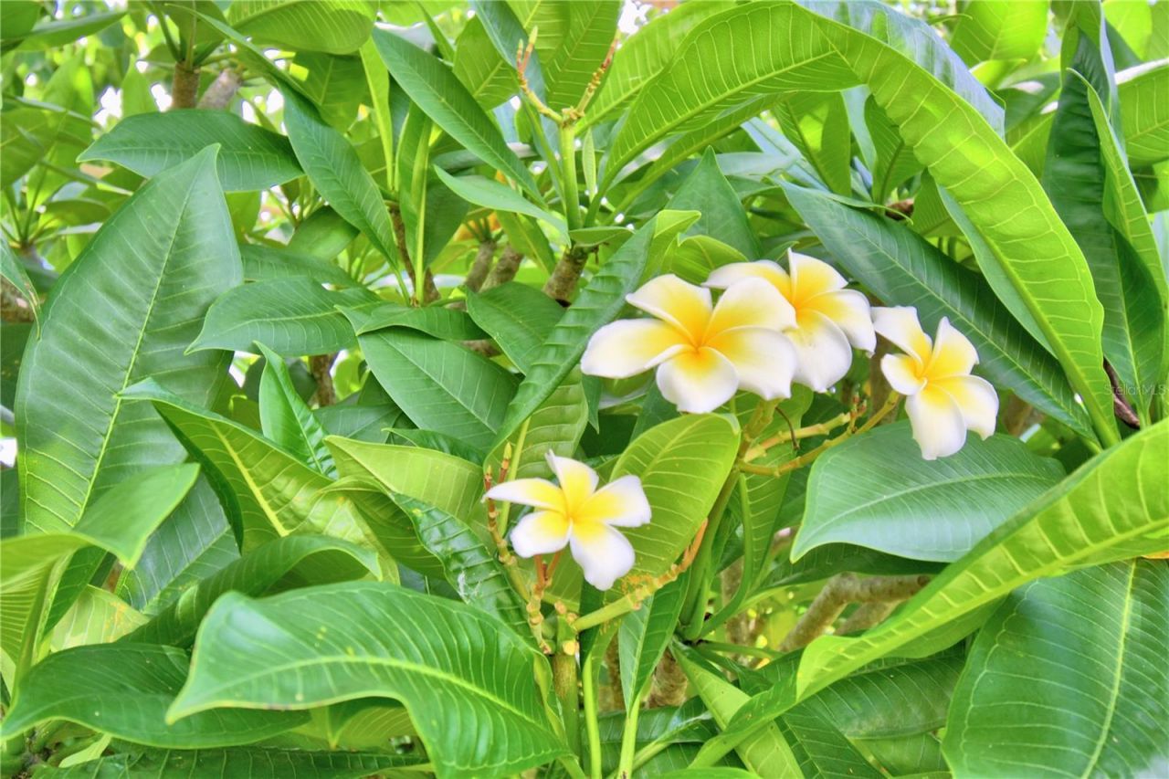 1475 S Lake Howard Drive, Winter Haven, FL 33880 Photo