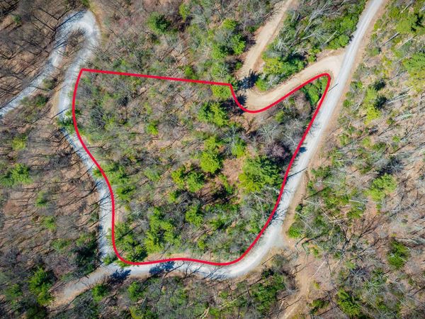 401 Chestnut Lot 54 Circle, Butler, TN 37640