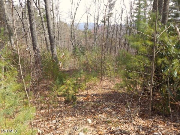 401 Chestnut Lot 54 Circle, Butler, TN 37640