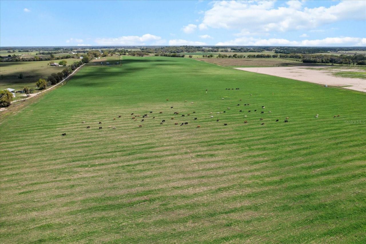 (190 Ac-see Addt'l Pid's) NW 225th Avenue, Dunnellon, FL 34431 Photo