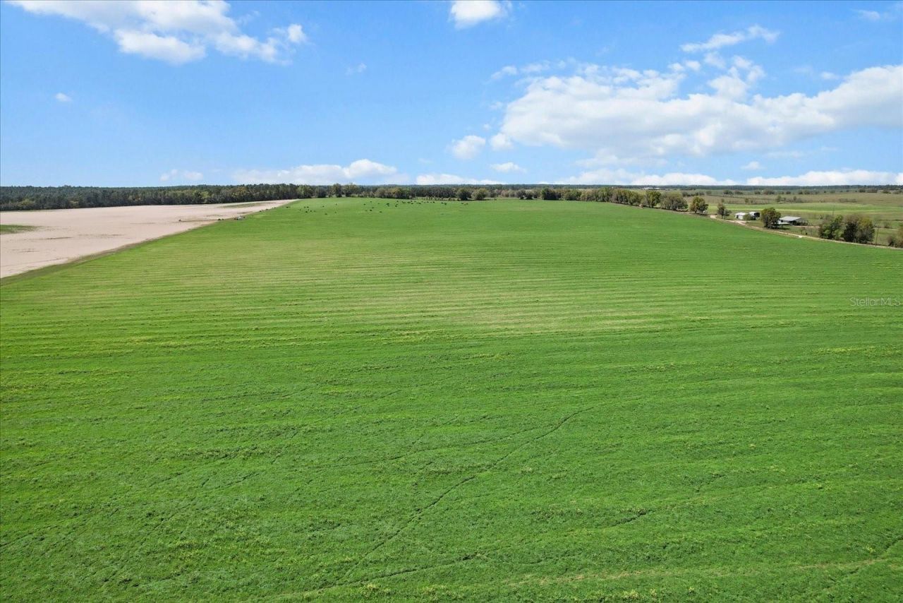 (190 Ac-see Addt'l Pid's) NW 225th Avenue, Dunnellon, FL 34431 Photo