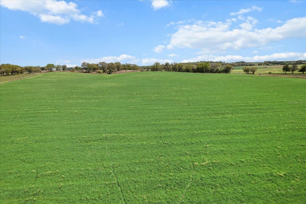(190 Ac-see Addt'l Pid's) NW 225th Avenue, Dunnellon, FL 34431 Photo