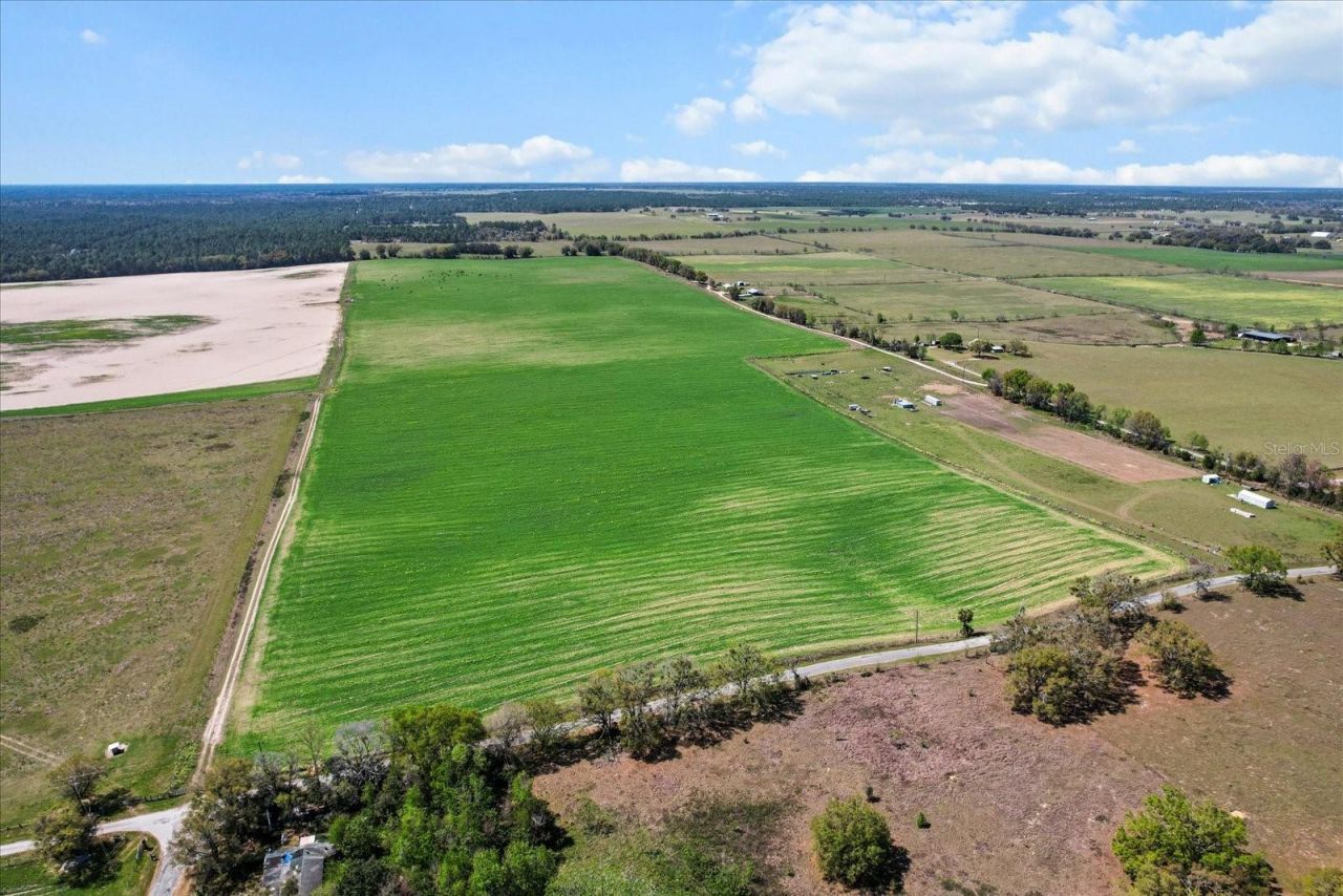 (190 Ac-see Addt'l Pid's) NW 225th Avenue, Dunnellon, FL 34431 Photo