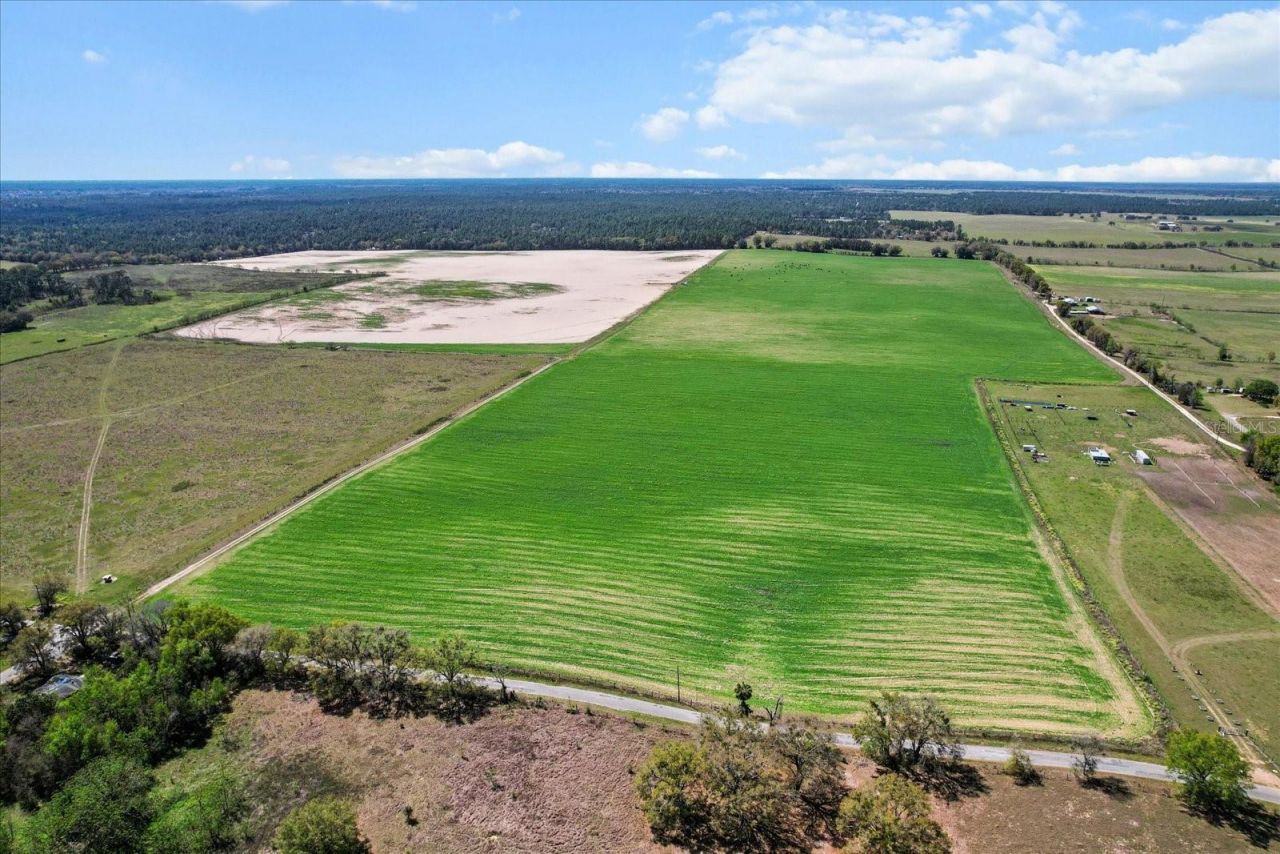 (190 Ac-see Addt'l Pid's) NW 225th Avenue, Dunnellon, FL 34431 Photo