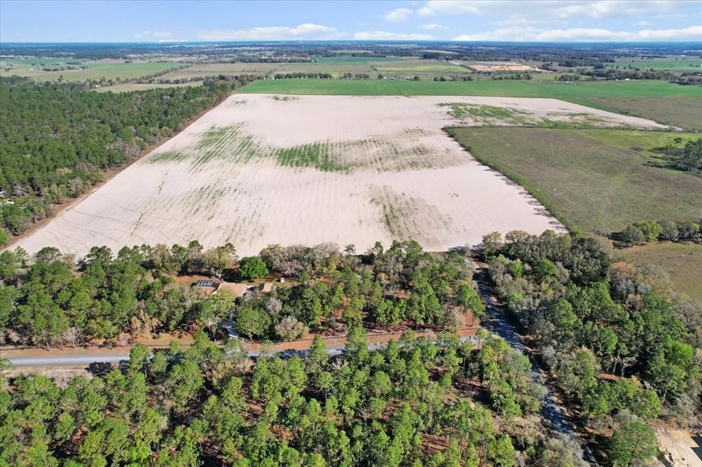 (190 Ac-see Addt'l Pid's) NW 225th Avenue, Dunnellon, FL 34431 Photo