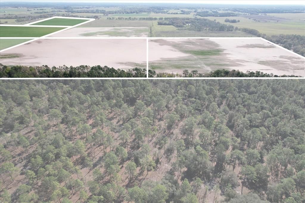 (190 Ac-see Addt'l Pid's) NW 225th Avenue, Dunnellon, FL 34431 Photo