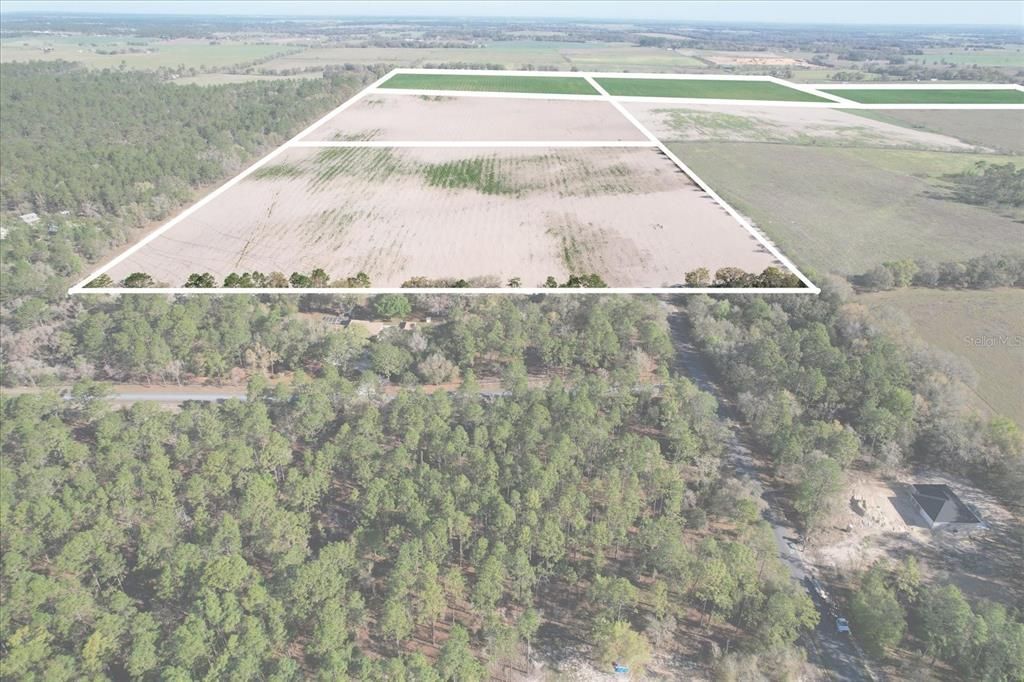 (190 Ac-see Addt'l Pid's) NW 225th Avenue, Dunnellon, FL 34431 Photo