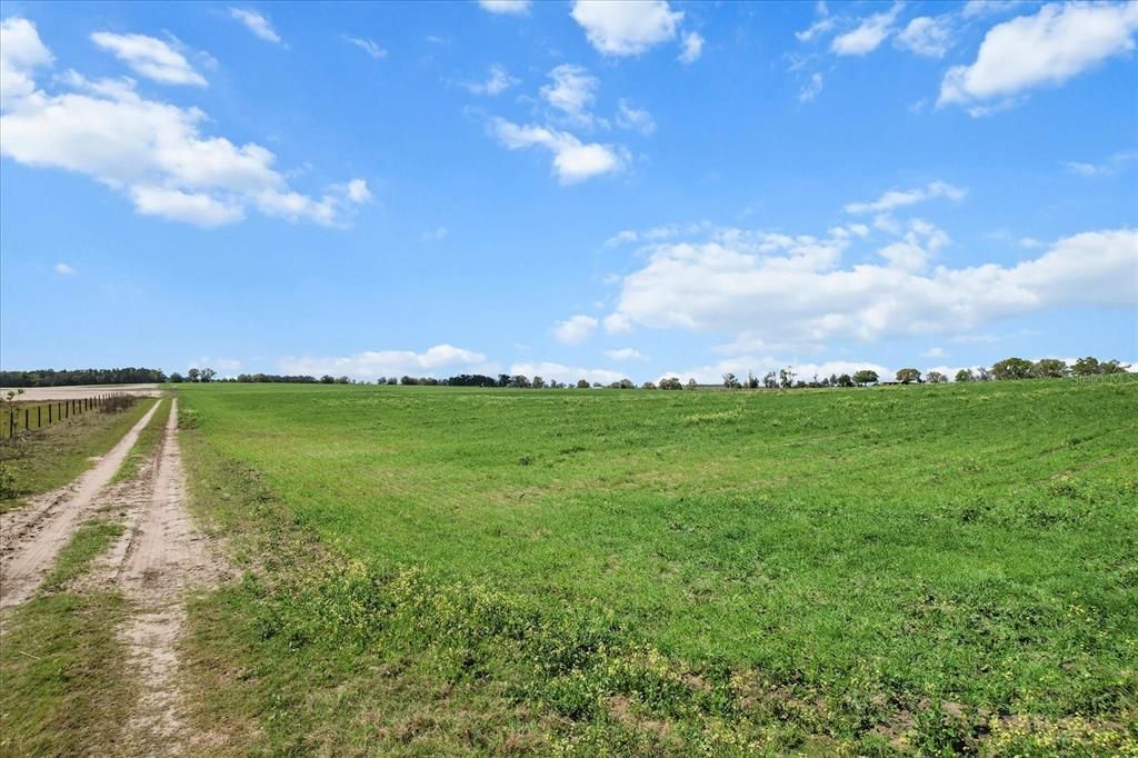 (190 Ac-see Addt'l Pid's) NW 225th Avenue, Dunnellon, FL 34431 Photo