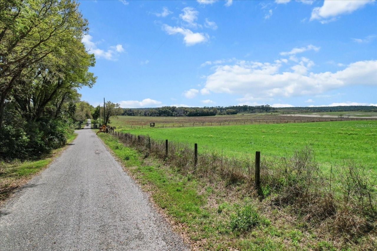 (190 Ac-see Addt'l Pid's) NW 225th Avenue, Dunnellon, FL 34431 Photo