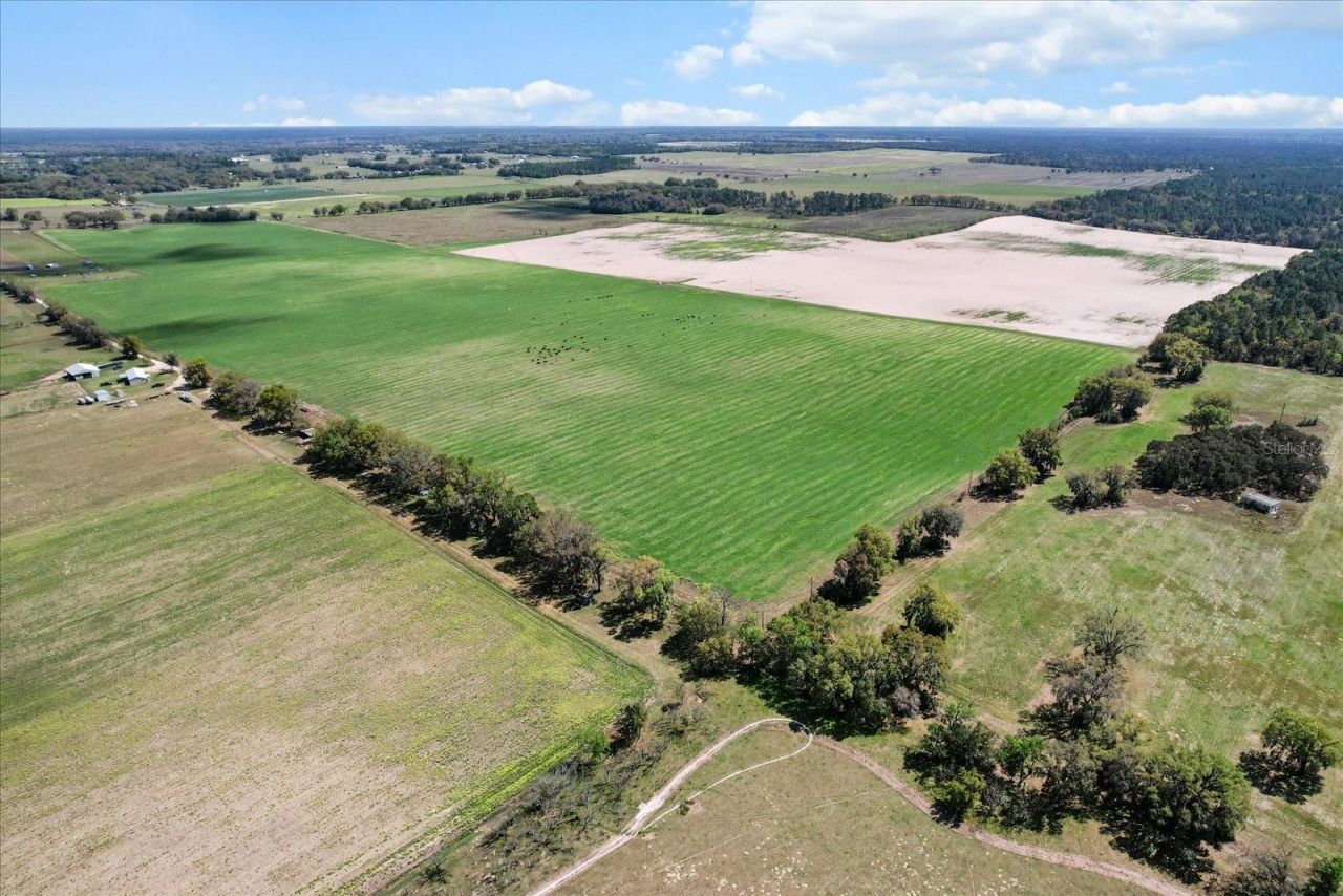 (190 Ac-see Addt'l Pid's) NW 225th Avenue, Dunnellon, FL 34431 Photo