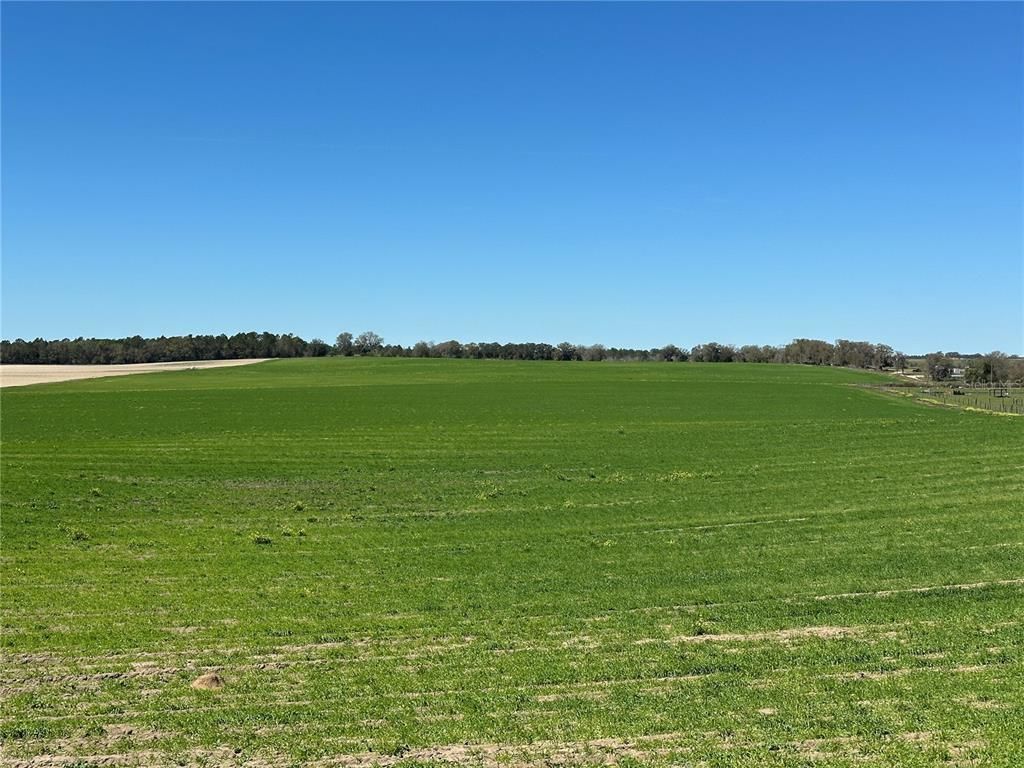 (190 Ac-see Addt'l Pid's) NW 225th Avenue, Dunnellon, FL 34431 Photo