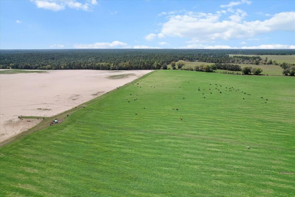 (190 Ac-see Addt'l Pid's) NW 225th Avenue, Dunnellon, FL 34431 Photo