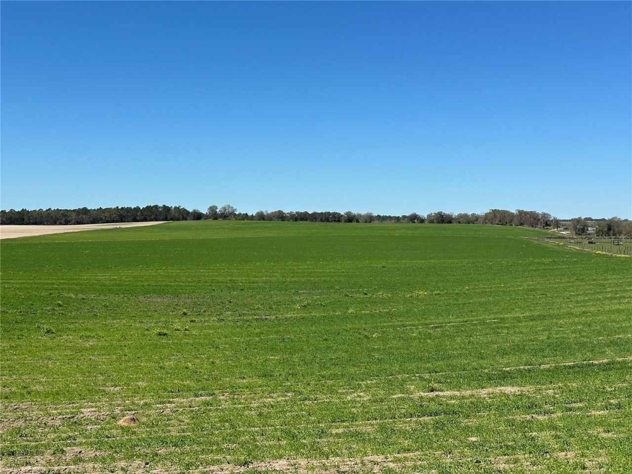 (190 Ac-see Addt'l Pid's) NW 225th Avenue, Dunnellon, FL 34431 Photo