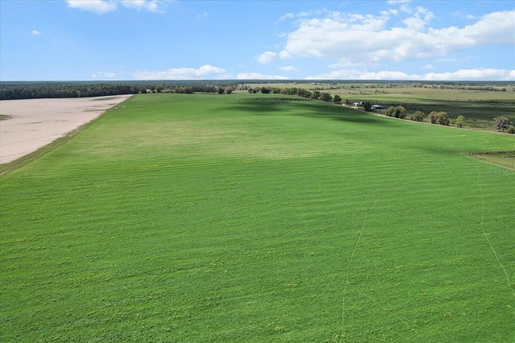 (190 Ac-see Addt'l Pid's) NW 225th Avenue, Dunnellon, FL 34431 Photo