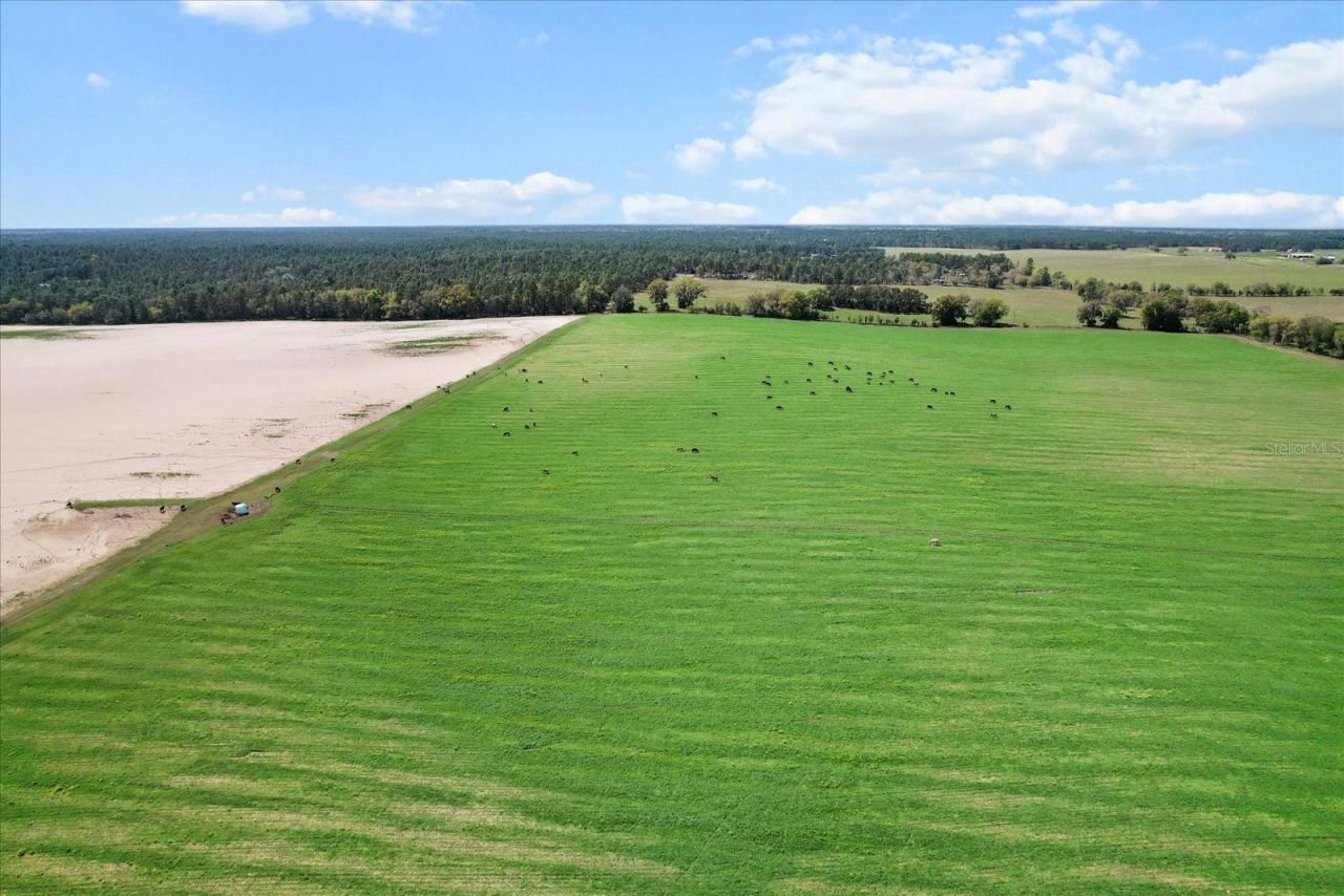 (190 Ac-see Addt'l Pid's) NW 225th Avenue, Dunnellon, FL 34431 Photo