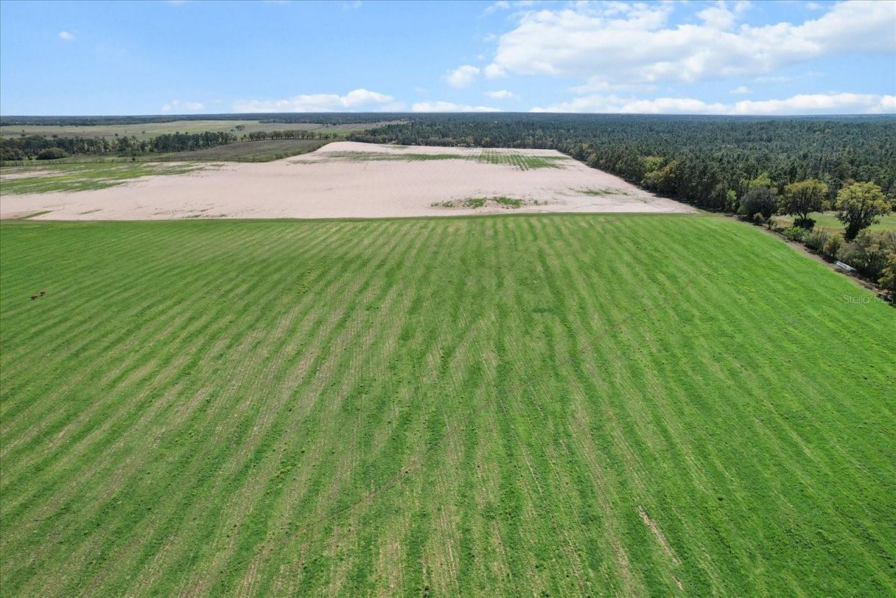 (190 Ac-see Addt'l Pid's) NW 225th Avenue, Dunnellon, FL 34431 Photo
