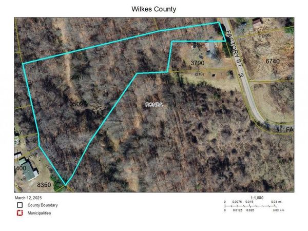 501 Factory Street, Ronda, NC 28670