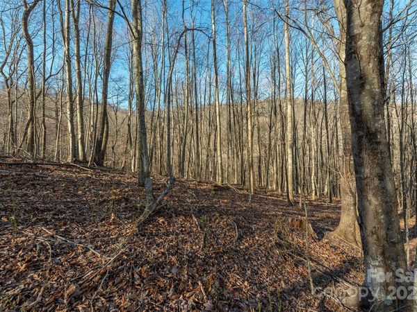 885 Stoney Stream Lane, Arden, NC 28704