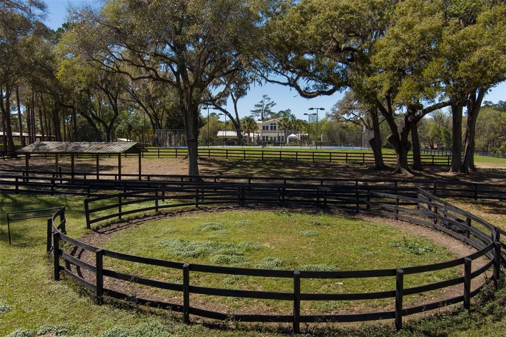 9605 S Magnolia Avenue, Ocala, FL 34476 Photo